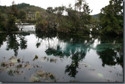 Te Waikoropupu Springs