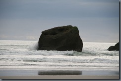 Farewell Spit - Wharariki beach