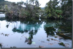 Te Waikoropupu Springs