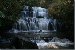 Purakanui Falls