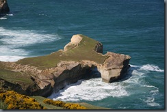 Tunnel Beach